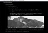 Cole Sprouse's Tumblr Experiment