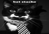 Batman Moustache (Batstache)