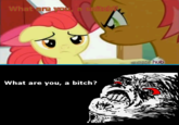 My Little Pony: Friendship is Magic