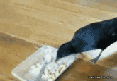 EPIC Maneuvers
