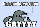 Homophobic Seal