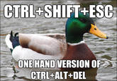 Actual Advice Mallard