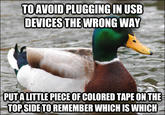 Actual Advice Mallard