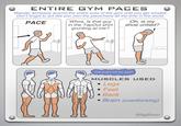 Safety Instruction Parodies