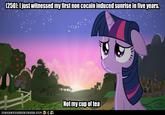 My Little Pony: Friendship is Magic