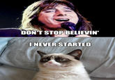 Grumpy Cat
