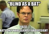 Schrute Facts