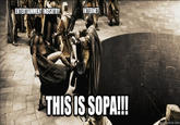 Protect IP Act / Stop Online Piracy Act