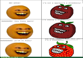I Lied