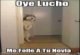 Oye Lucho, El perro del lucho