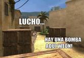 Oye Lucho, El perro del lucho
