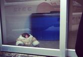 IKEA Monkey