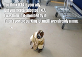 IKEA Monkey