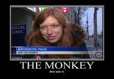 IKEA Monkey
