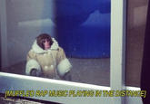 IKEA Monkey