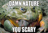 Damn Nature, You Scary!