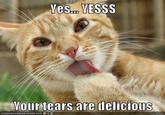 Your Tears are Delicious
