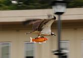 Perfectly Timed Photos