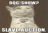 Aristocat
