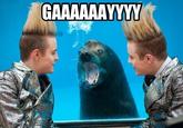 Homophobic Seal