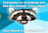 Lame Pun Coon