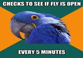 Paranoid Parrot
