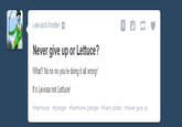 Lettuce / It Says "Never Give Up"