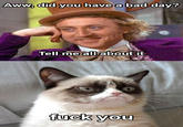 Grumpy Cat