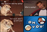Oh, You