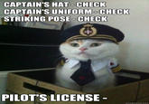 Captain Kitteh