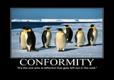 Demotivational Posters