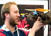 Orvillecopter / Helicopter Cat