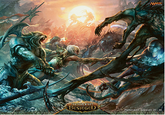 Magic the Gathering