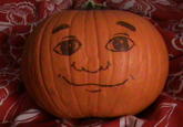 Pumkin