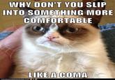 Grumpy Cat