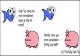 The Silly Sea Pig