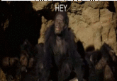 That's Racist!