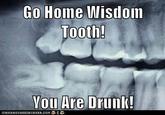 Go Home, You Are Drunk