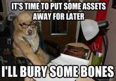 Financial Advice Dog