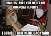 Financial Advice Dog