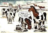 2013 Horse Meat Scandal