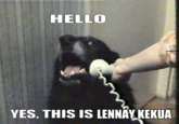 Manti Te'o's Girlfriend Hoax / Teoing
