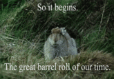 Do A Barrel Roll