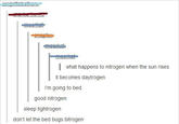 Night Blogging
