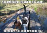 I Should Buy a Boat Cat