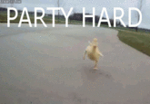 Party Hard