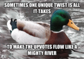 Actual Advice Mallard