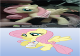 My Little Pony: Friendship is Magic