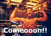 Van Damme