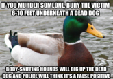 Advice Animals